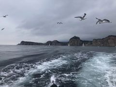 -拓恩帆船俱乐部