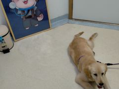 -萌兽医馆·绝育·24小时内科·宠物医院(德胜店)