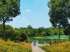 -西溪国家湿地公园