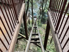 -巴倒烫陆派重庆火锅(南山店)
