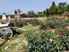 -武汉紫薇都市田园