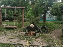 -仙芝竹尖生态园旅游景区