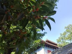 -西安大兴善寺