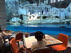 -帝企鹅自助餐厅•儿童岛•真企鹅(长隆企鹅酒店)