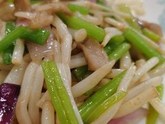 -姚林轩