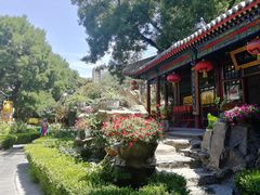 -白家大院·王府宫廷菜(苏州街店)
