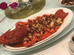 -金轩中餐厅 Jin Xuan(浦东丽思卡尔顿酒店)