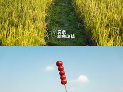 -艾米稻香小镇