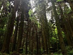 -上色见熊野座神社