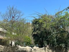 -成都动物园