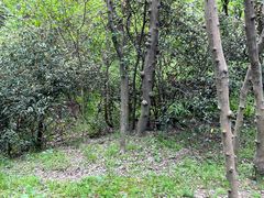 -扬州市茱萸湾风景区