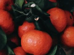 -PAGODA百果园(台柳路凯德广场店)