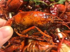 干煸麻辣龙虾-欧记轩龙虾·私房菜(A店)