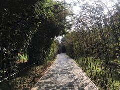 -东湖落雁景区