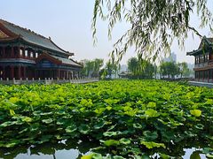 -万柳阁小馆·花园餐厅(龙潭湖店)