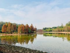 -华南国家植物园-售票处