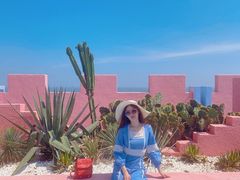 -漳州滨海火山岛自然生态风景区