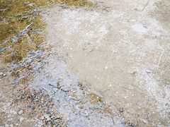 -碓臼峪自然风景区