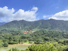 -深圳仙湖植物园