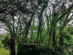 -人民公园(罗湖区)