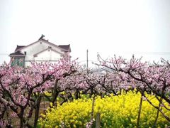 -美味之家·湖景农家乐(太湖东山店)