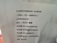 -HAVE A ROOM·有间质果(总店)
