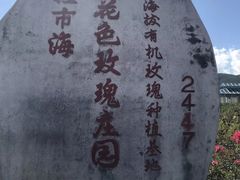 -大理洱海