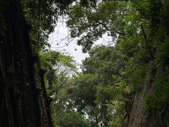 -乌山风景区