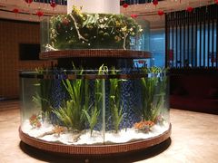 -巴陵全鱼席(湖南老字号汴河街店 )