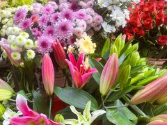 -循礼门鲜花花市(武汉循礼门店)