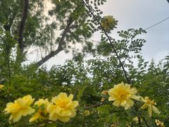 -郭守敬纪念馆