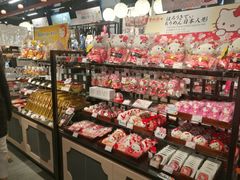 -大阪市立自然史博物馆