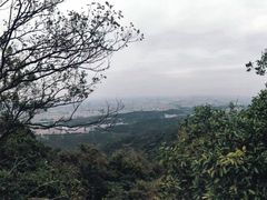-紫金山山顶公园