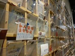 -猫的天空之城概念书店(杭州南宋御街店)