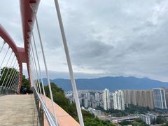 -金鸡山公园