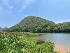 -广州市石门国家森林公园
