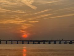 -宝安西湾红树林湿地公园