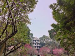 -成都杜甫草堂博物馆
