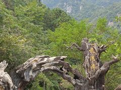 -龙湾潭国家森林公园