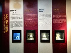 -烟台自然博物馆