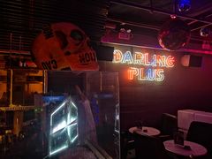 -Darling Queen·Mini·Live·House