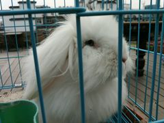 -南京夫子庙国际青年旅舍(平江府路店)