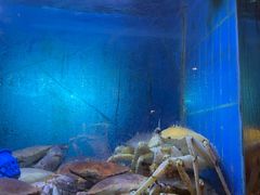 -阳光码头海鲜火锅(世纪大道店)