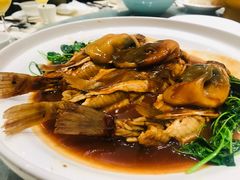 红烧河豚鱼-狮王府淮扬菜(新街口友谊店)