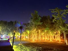 -长白岛森林公园