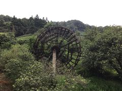-天地生态农庄