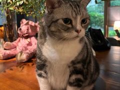 -咖法森林·咖啡  酒吧(天河店)