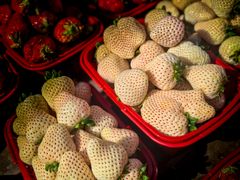 -新安江农贸市场