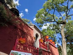 -五台山风景名胜区