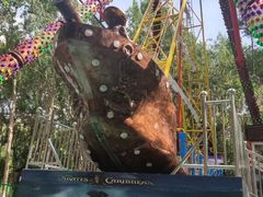 -长白岛森林公园